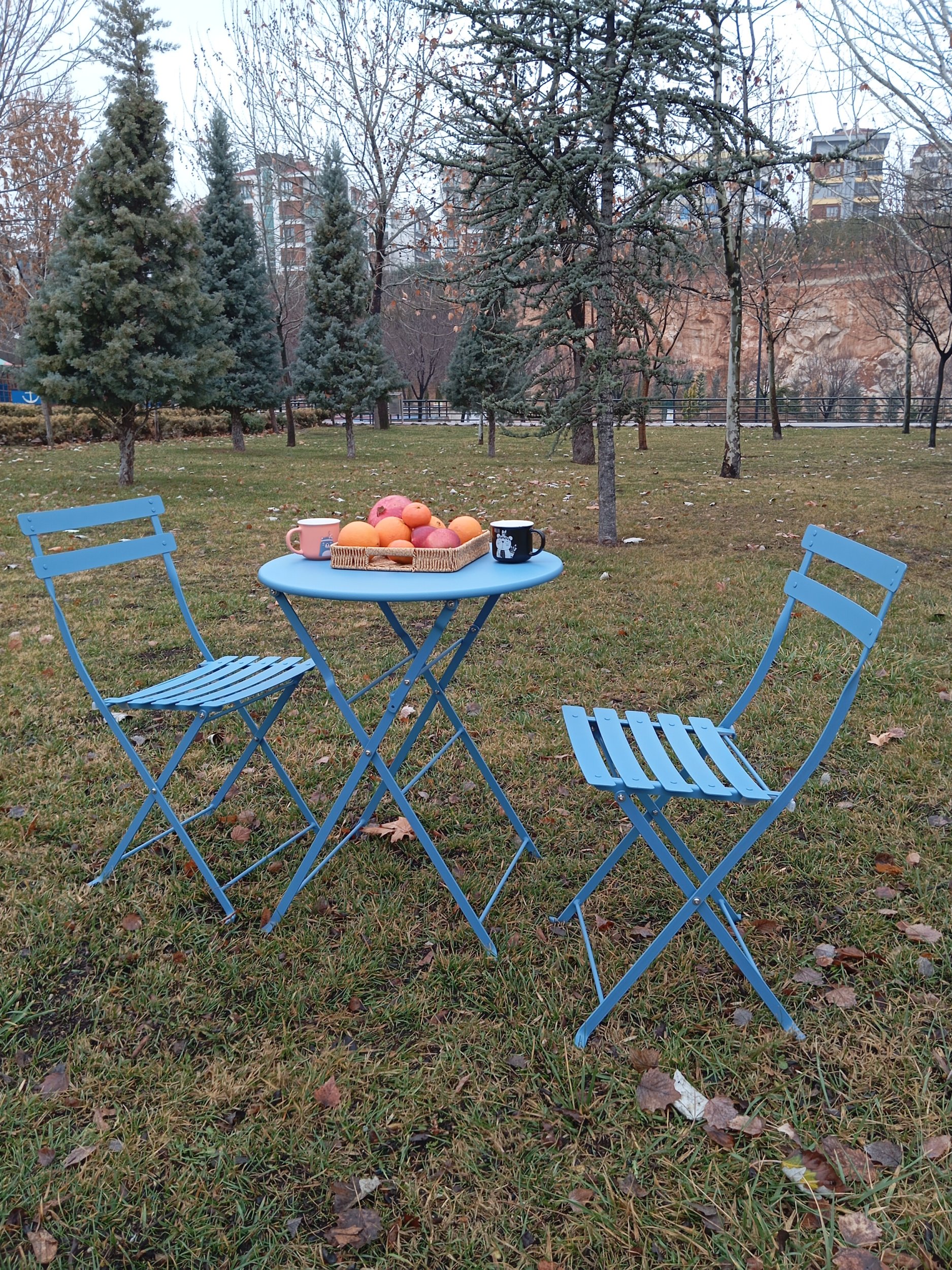Bistro Serisi 2li Sandalye Mavi