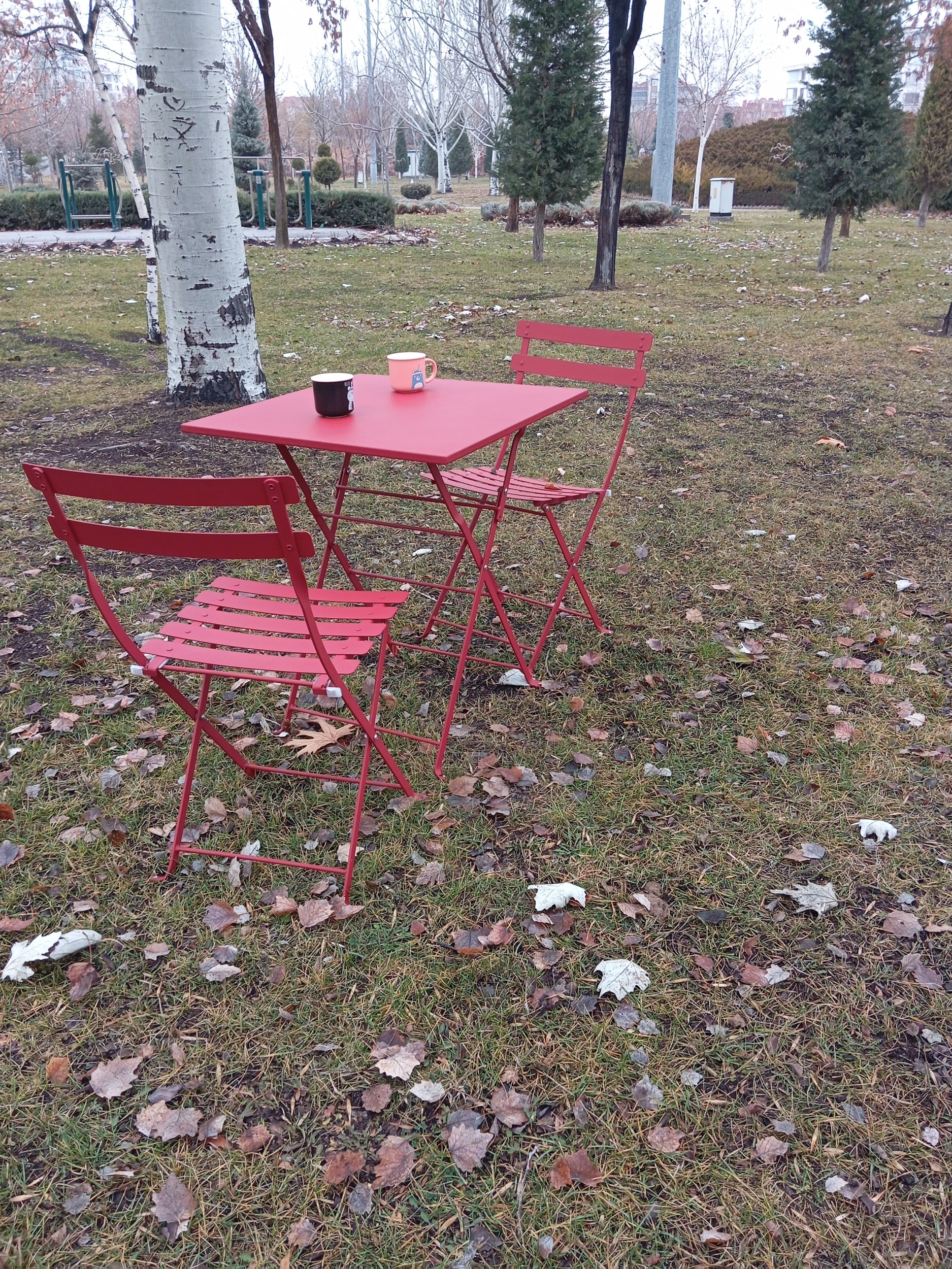 Bistro Serisi 2li Sandalye Kırmızı