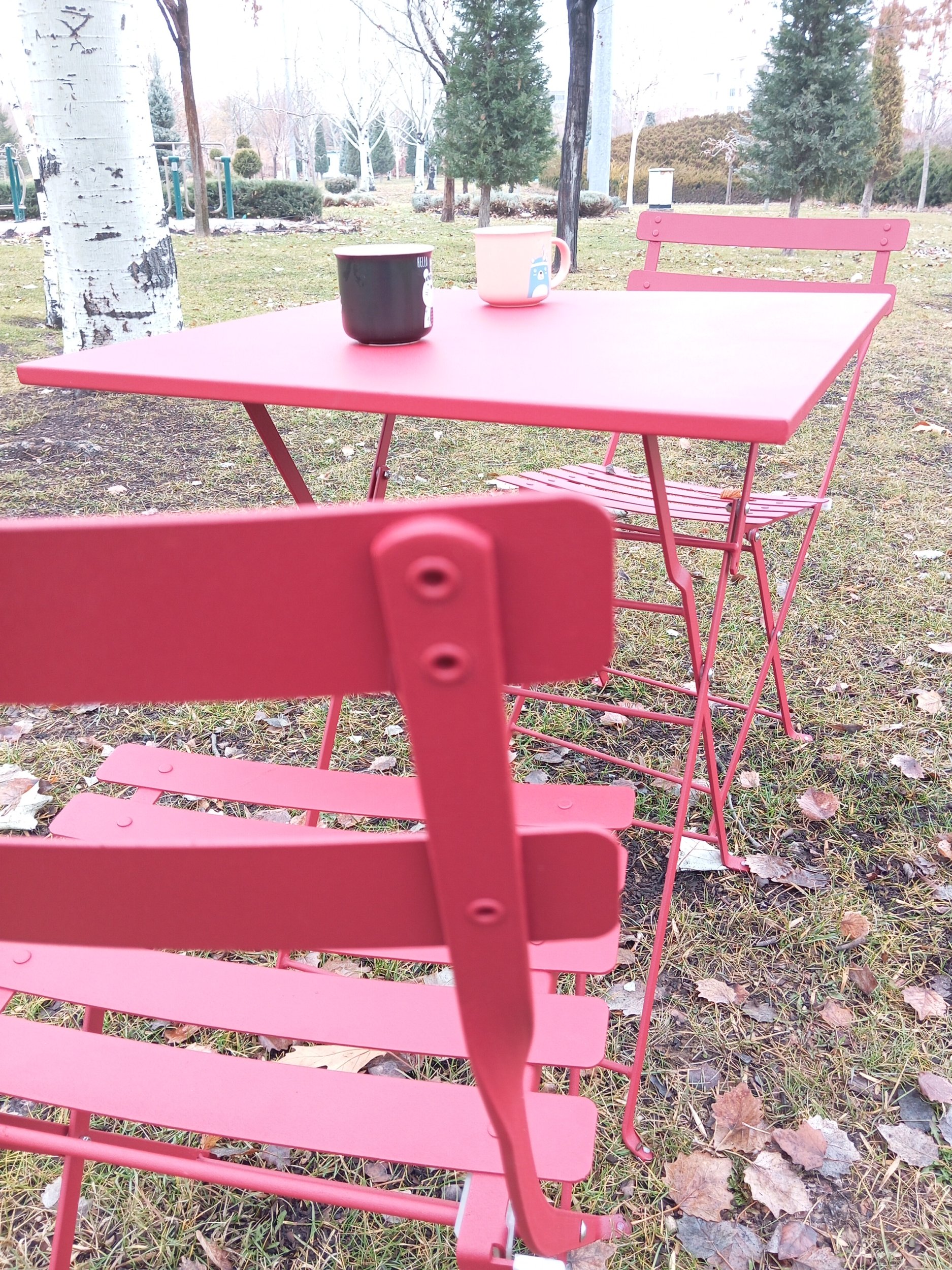 Bistro Serisi 2li Sandalye Kırmızı